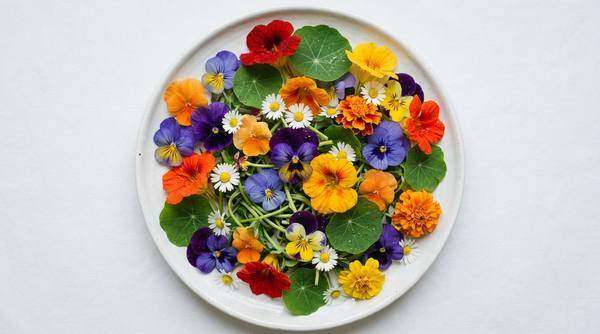 Flores